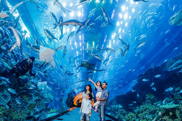 Discovering the Wonders of the Dubai Underwater Zoo and Aquarium